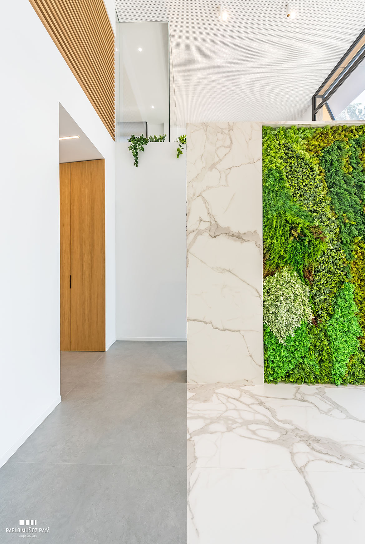 Reforma integral clínica dental Comisura Elda - Pablo Muñoz Payá Arquitectos 5