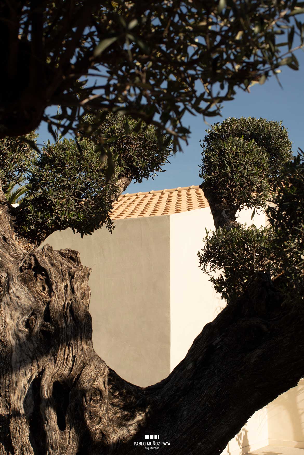 Reforma integral de vivienda en Alicante para Alejandro e Inma - Pablo Muñoz Payá Arquitectos 46