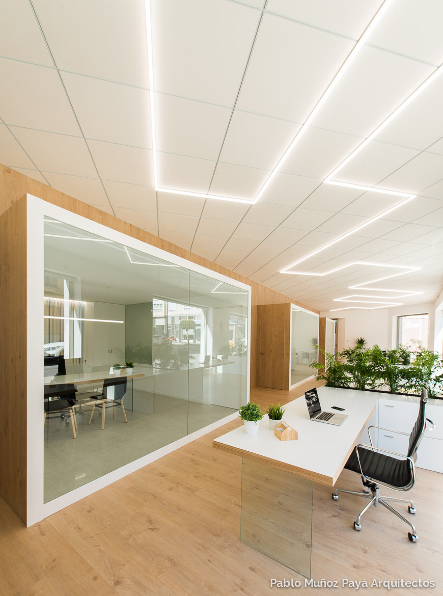 Reforma integral y diseño interior Oficinas Casado y Pujol - Pablo Muñoz Payá Arquitectos 4