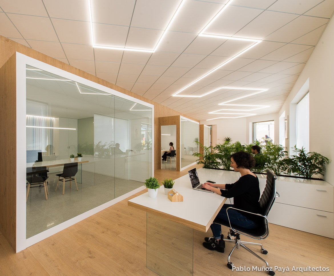 Reforma integral y diseño interior Oficinas Casado y Pujol - Pablo Muñoz Payá Arquitectos 5