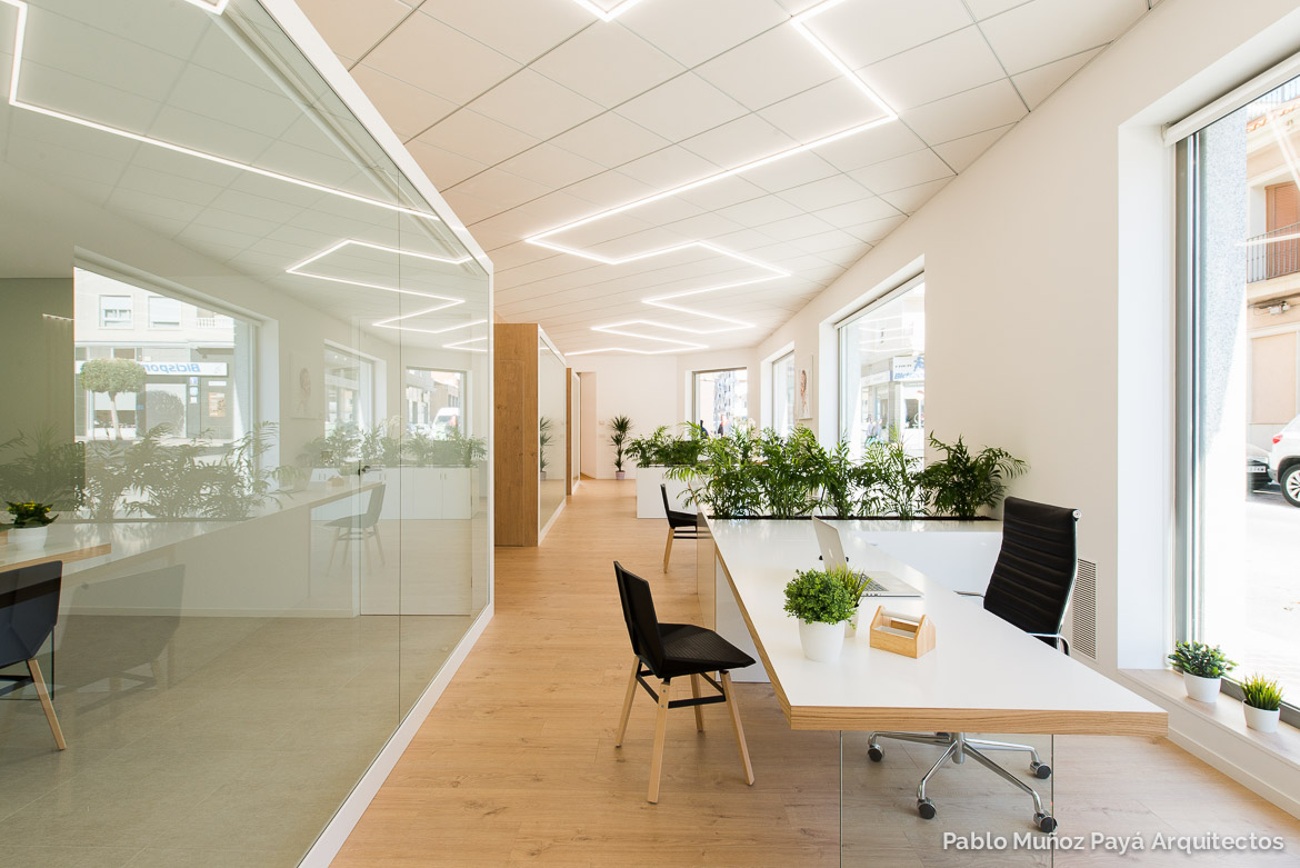 Reforma integral y diseño interior Oficinas Casado y Pujol - Pablo Muñoz Payá Arquitectos 6